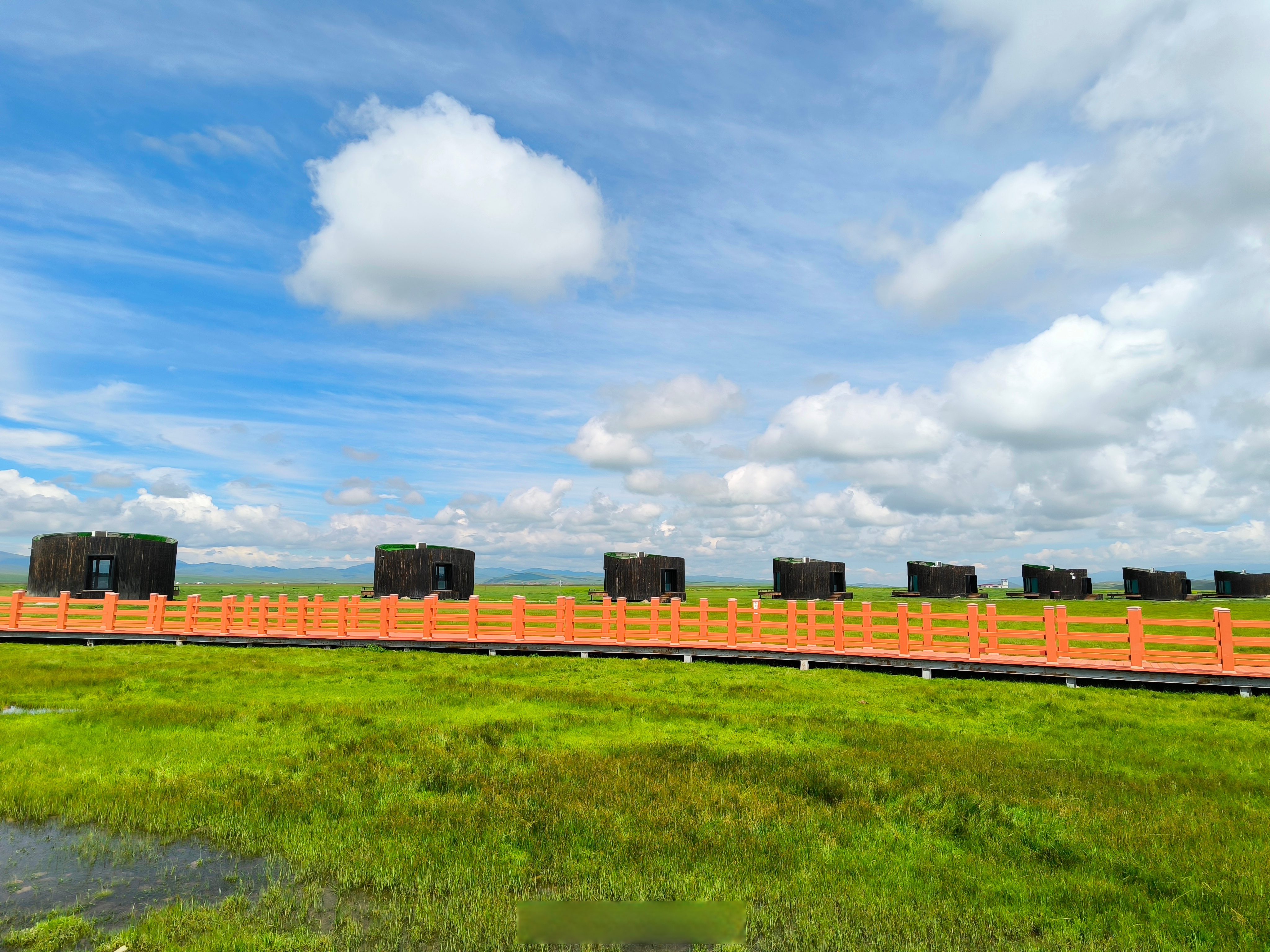 诗意甘肃# 【玛曲县河曲马场:驰骋草原的心之向往】河曲马场地处肪鞍