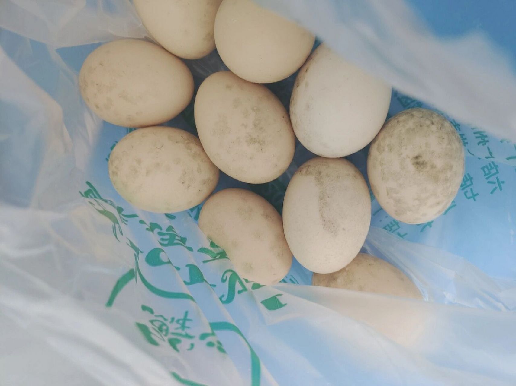 鸡蛋发霉 往常的鸡蛋买回来放个一个月没啥事,没想到上周买的鸡蛋,被