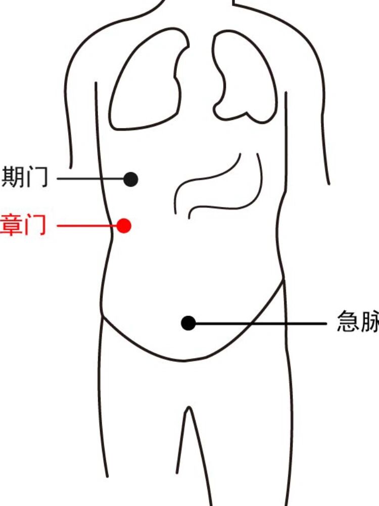 章门准确位置图图片