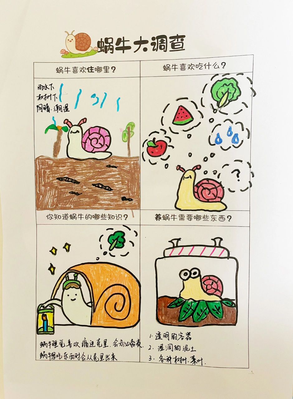 蜗牛大调查·幼儿园作业 幼崽参与度极高的一次实践 自己画了小树