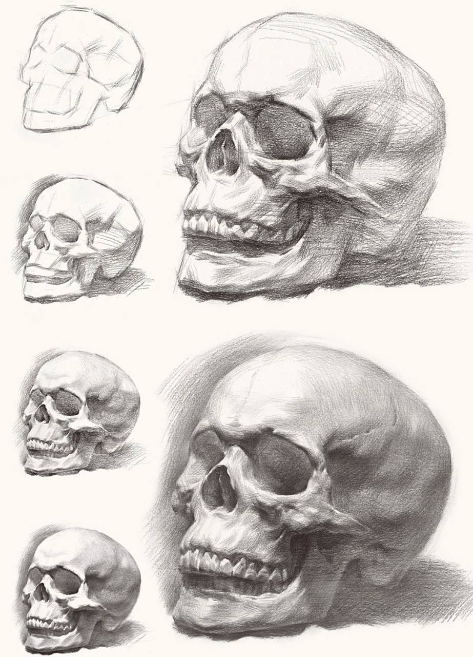 素描骷髅头骨,头像不可缺少的.