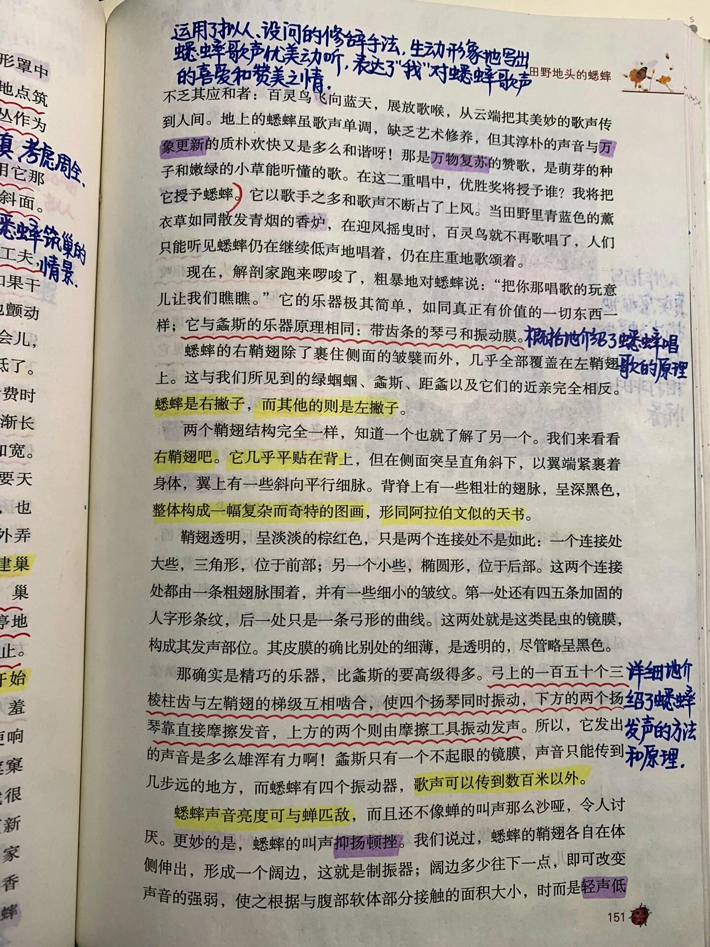 昆虫记 十六篇 田野地头的蟋蟀