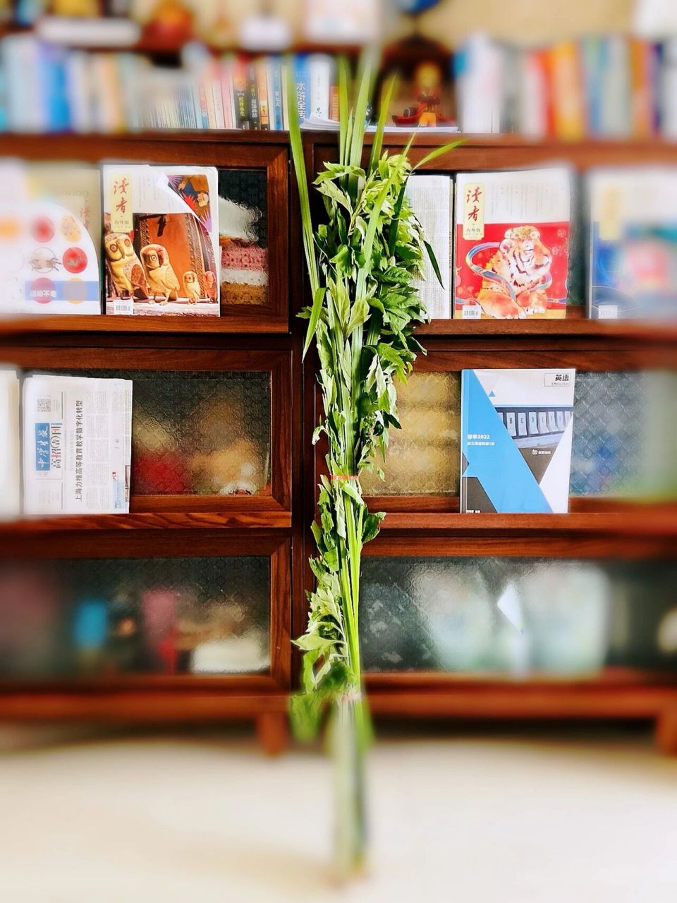 艾草菖蒲(端午节的标配) 端午节在门口挂艾草,蒲草(蒲剑)等都有其原因