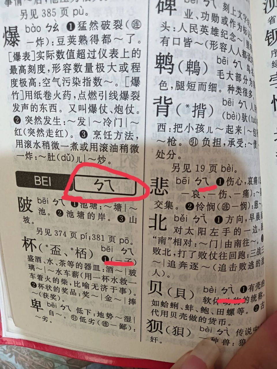 新华字典 突然现字典上每个拼音旁边都有这种符号