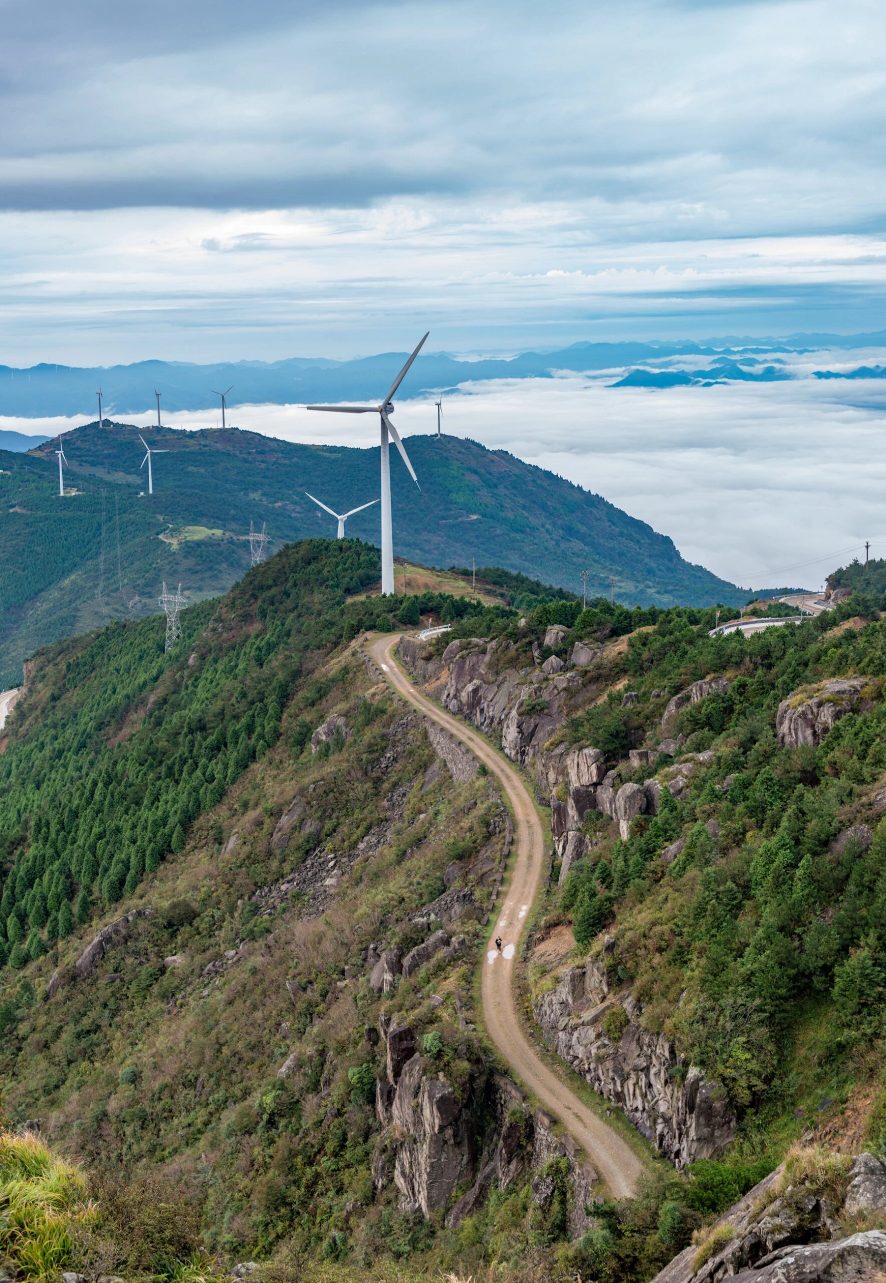 周末去哪儿玩|登括苍山赏云海奇观