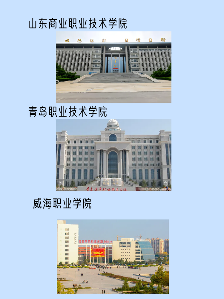 山东十大最好的职业院校