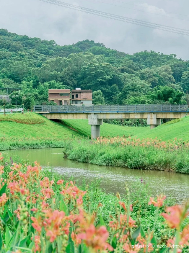 青田县金坑水库简介图片