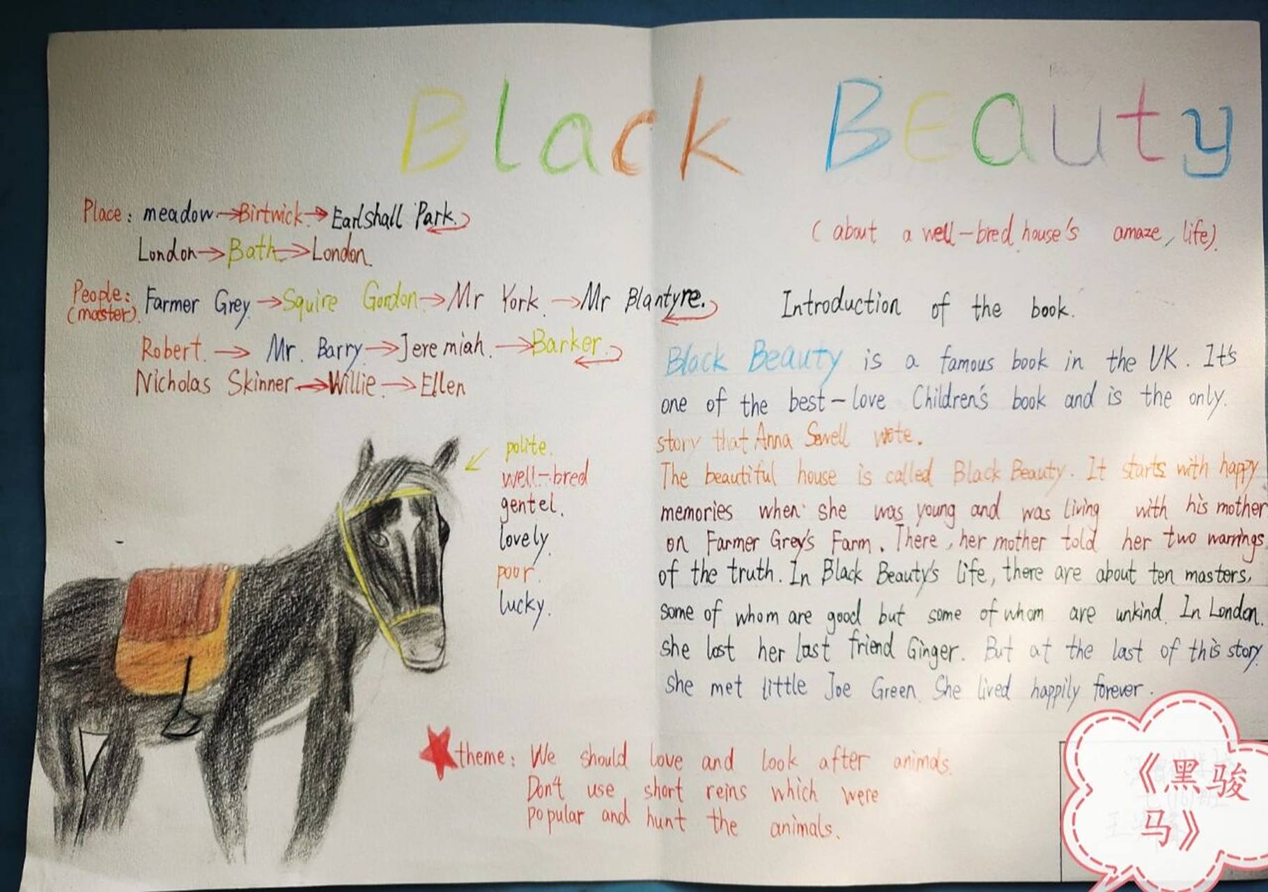 《黑骏马》black beauty 孩子整理绘制的《黑骏马》手抄报
