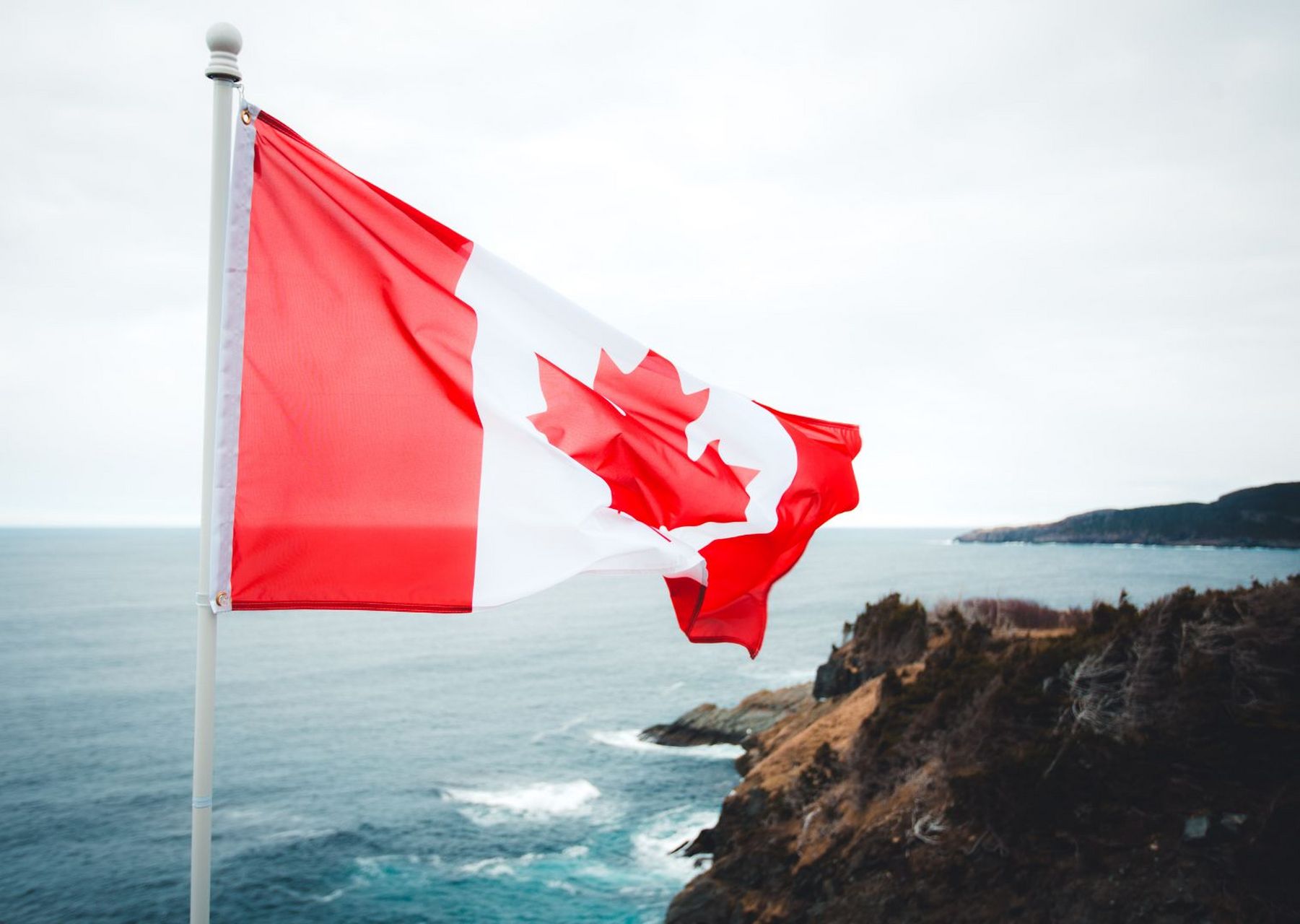 加拿大国旗图片 加拿大国旗(英语:flag of canada,法语:le drapeau du