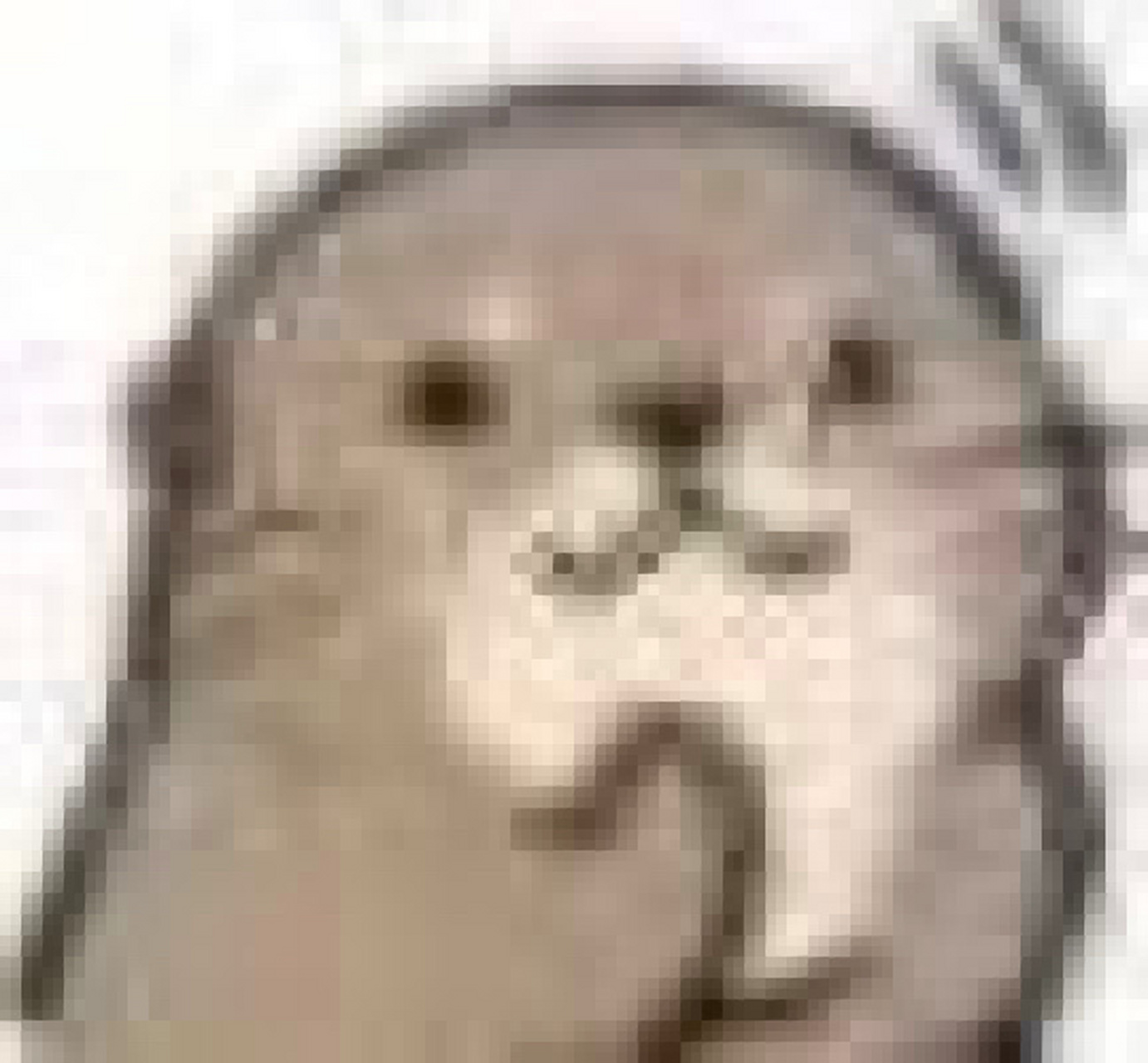 小水獭表情包也太可爱了吧,嘿嘿嘿～ 高糊小小表情包 03图片均来自