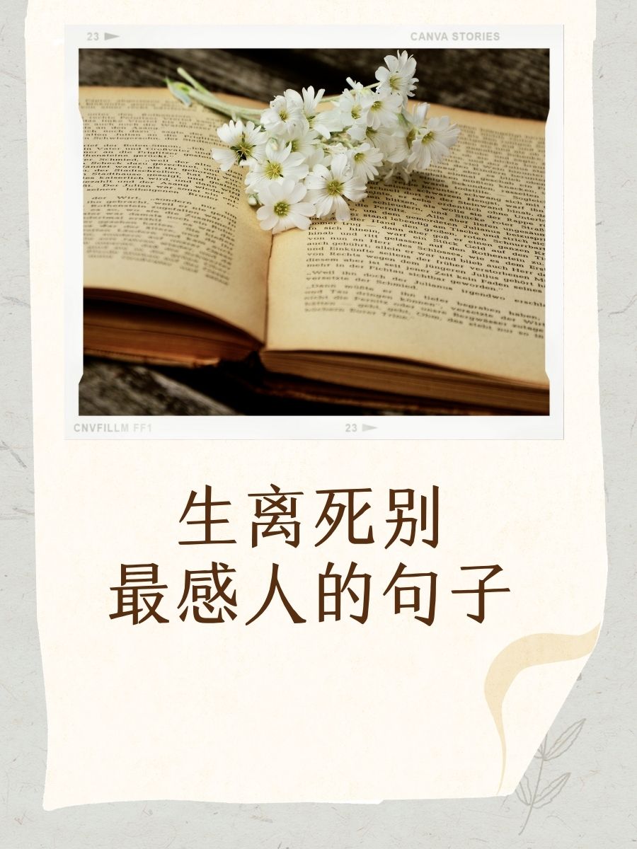 生离死别最感人的句子 1. "人生若只如初见,何事秋风悲画扇."  2.