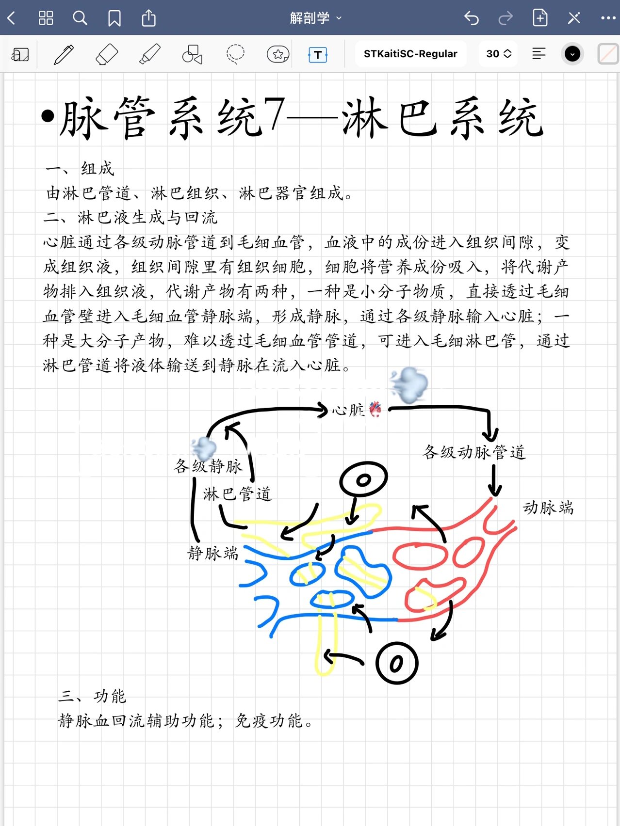 淋巴引流途径图片图片