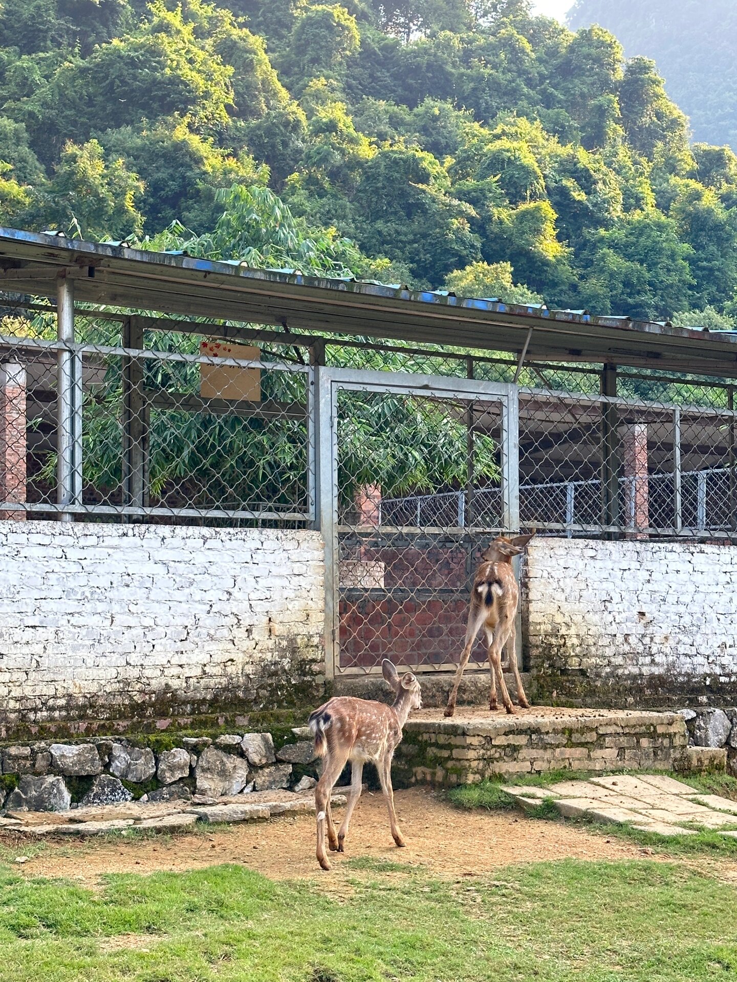 柳州鹿鸣谷景区图片