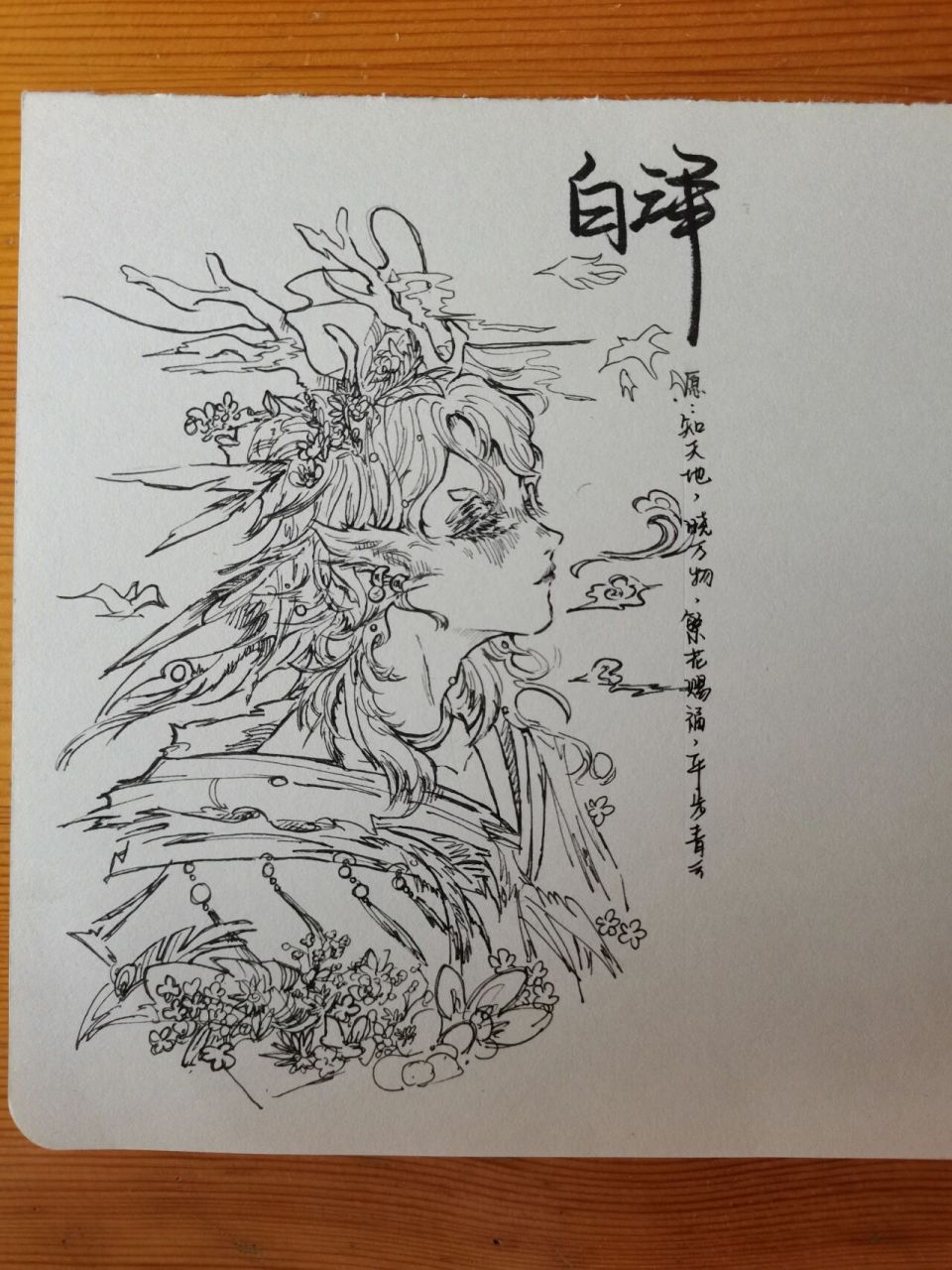 宏愿》以己之名,幻想神兽 "有兽曰白泽, 《山海经》内的描述从来是只