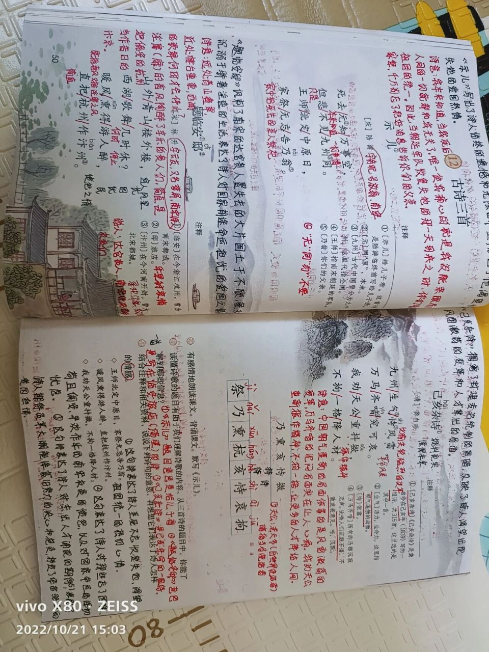 五年级上册第12课《古诗三首》 备课笔记——《示儿》《题临安邸》