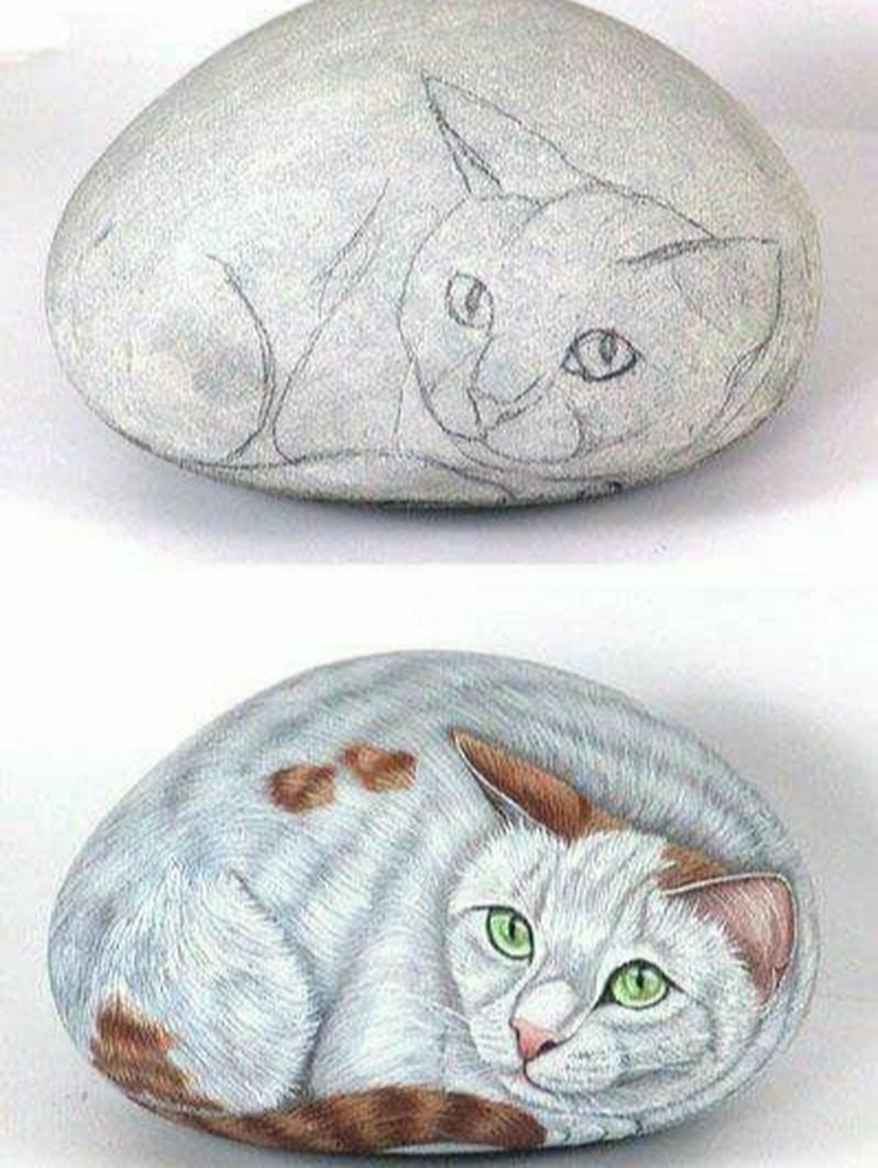 手绘石头画 #手绘石头画