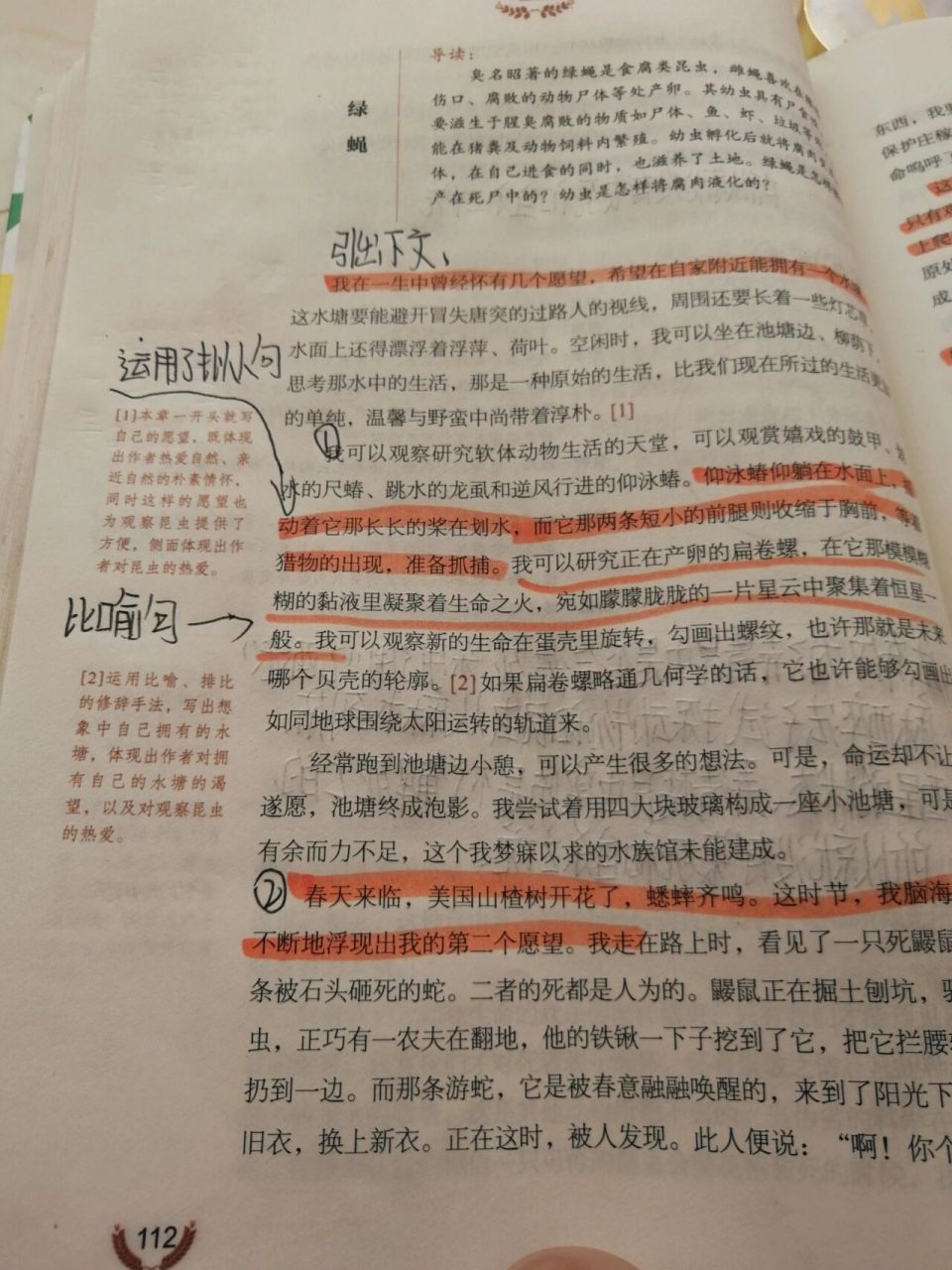 《昆虫记》绿蝇的读书笔记