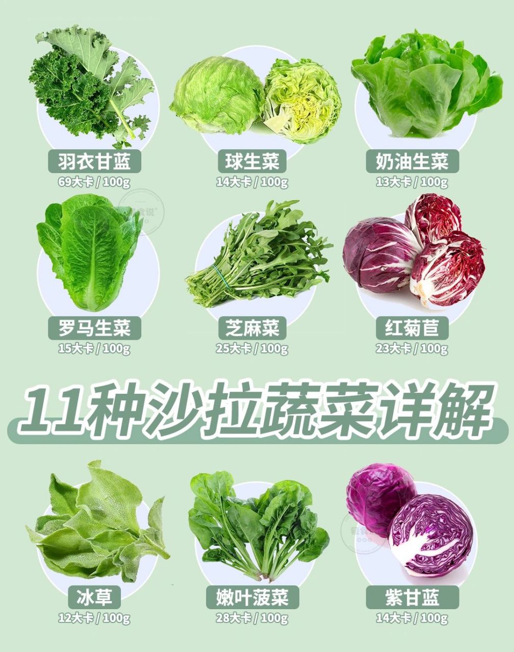 常见沙拉菜详解01 羽衣甘蓝:69大卡/100g    营养特点:高维生素a