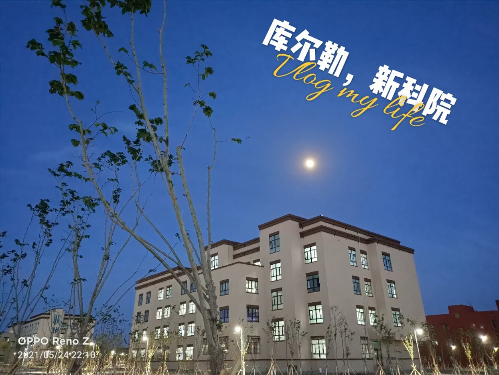 库尔勒‖新疆科技学院 今日份的月亮种草给娇贵的王子和公主们.