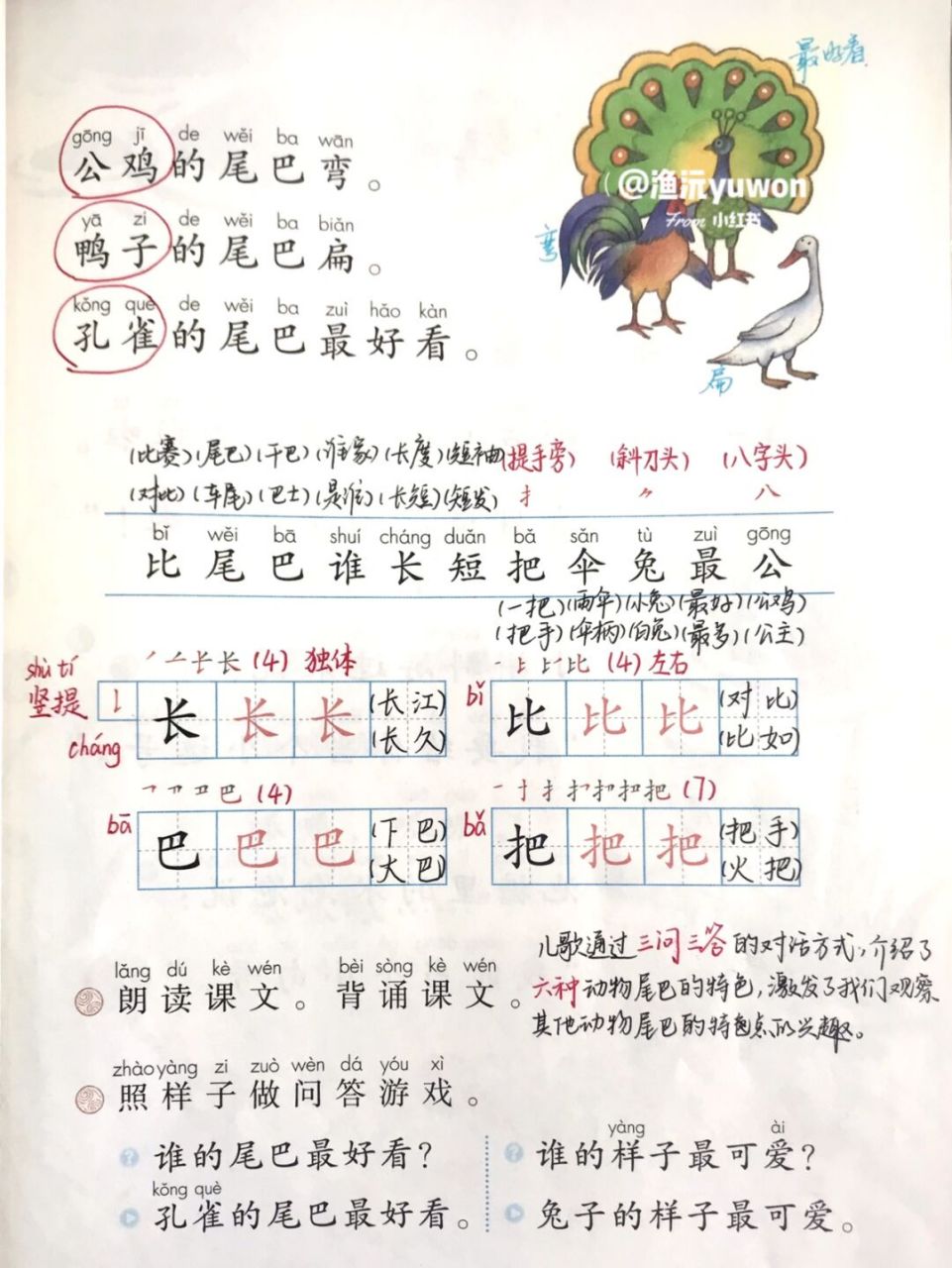 一(上)《比尾巴》备课笔记94 #小学语文备课