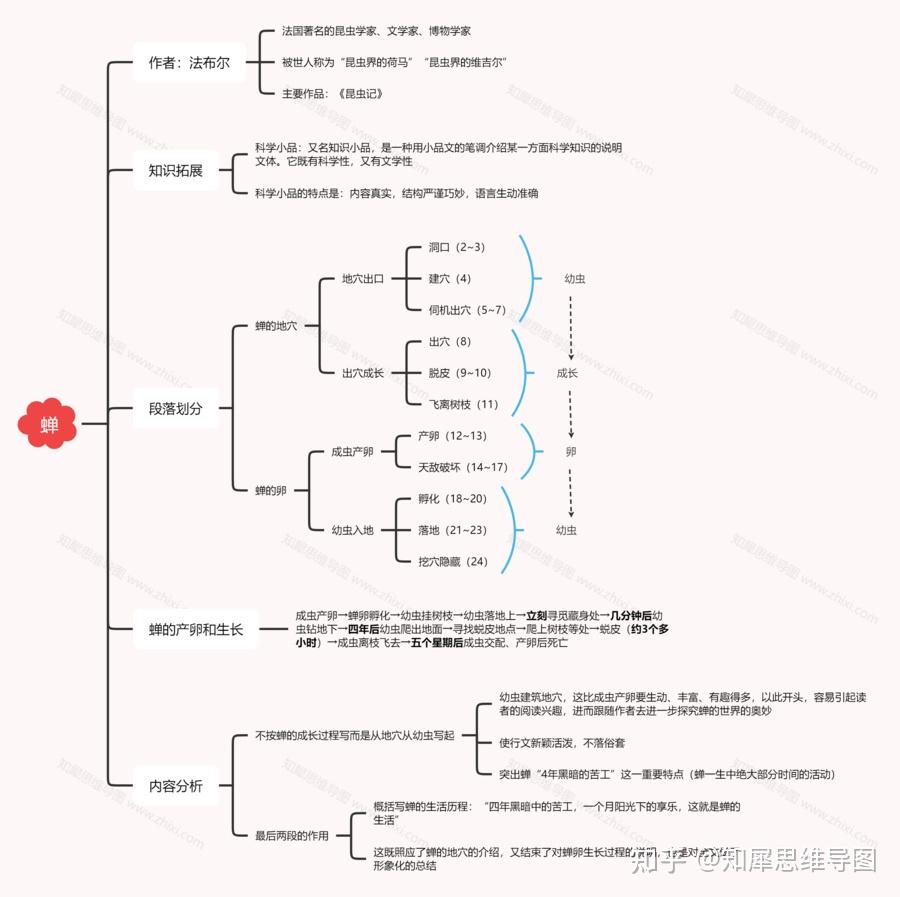 蝉法布尔思维导图图片