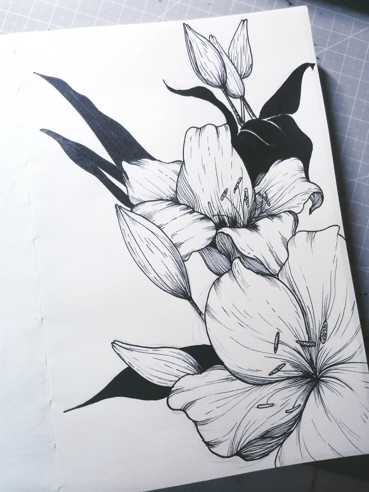 22/100|黑白装饰画|绘画临摹(附过程)