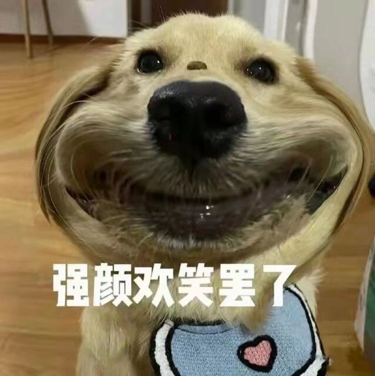 摆烂表情包/搞笑表情包/打工人/沙雕 别画饼了,冰箱已经装不下了07