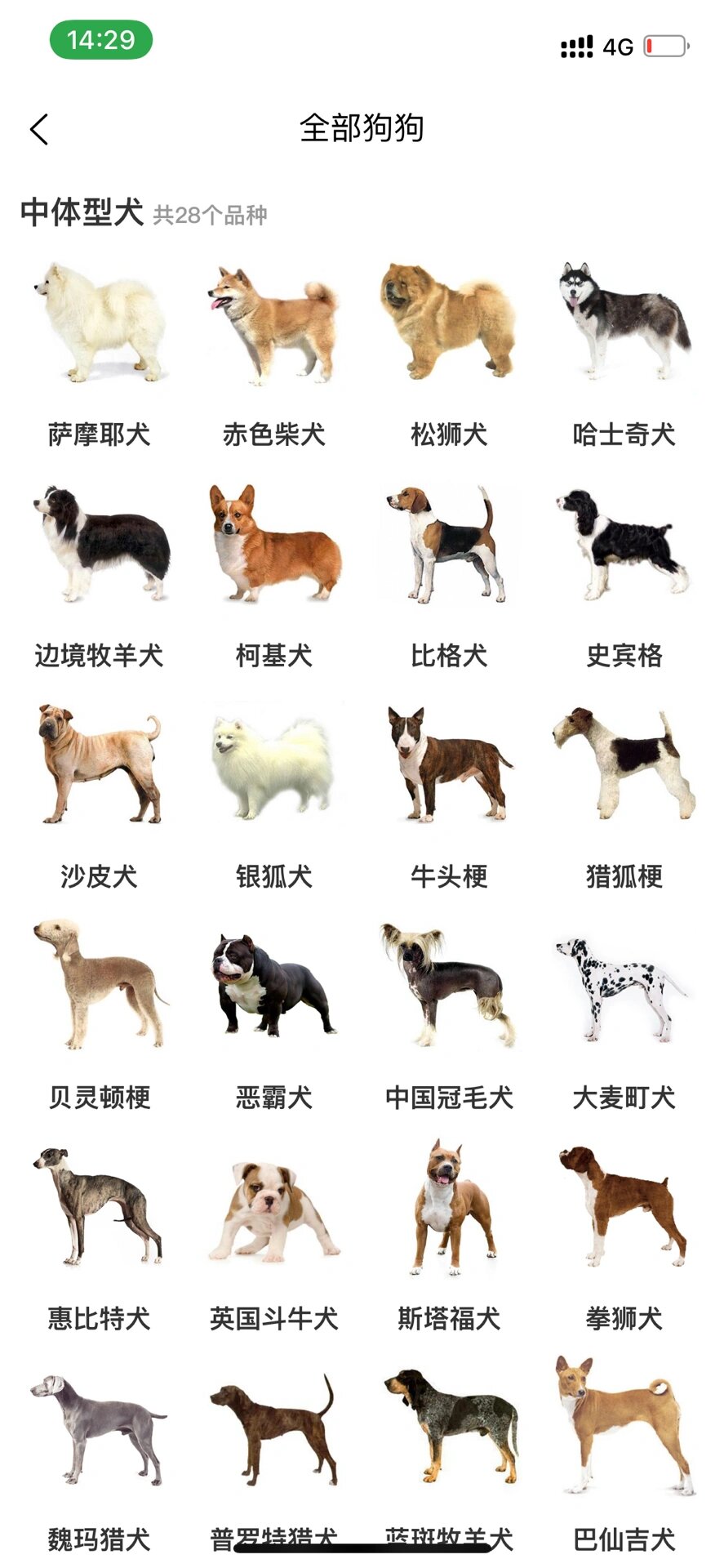 开元棋牌- 开元棋牌官网 - 开元棋牌APP下载为什么舔过人血的狗必须杀死？听听专家怎么说爱狗人士：太残忍
