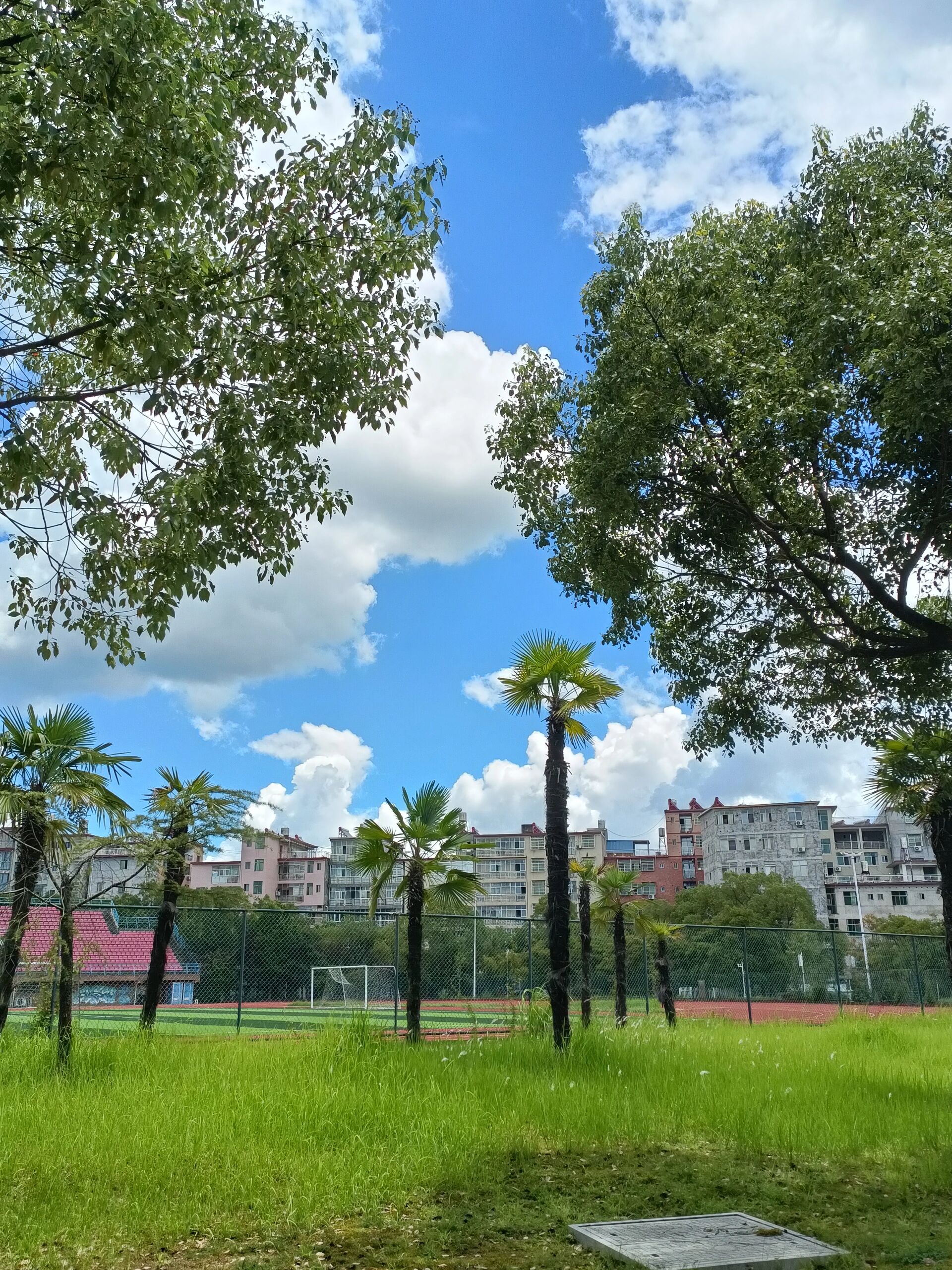 景德镇陶瓷大学 校园风景2