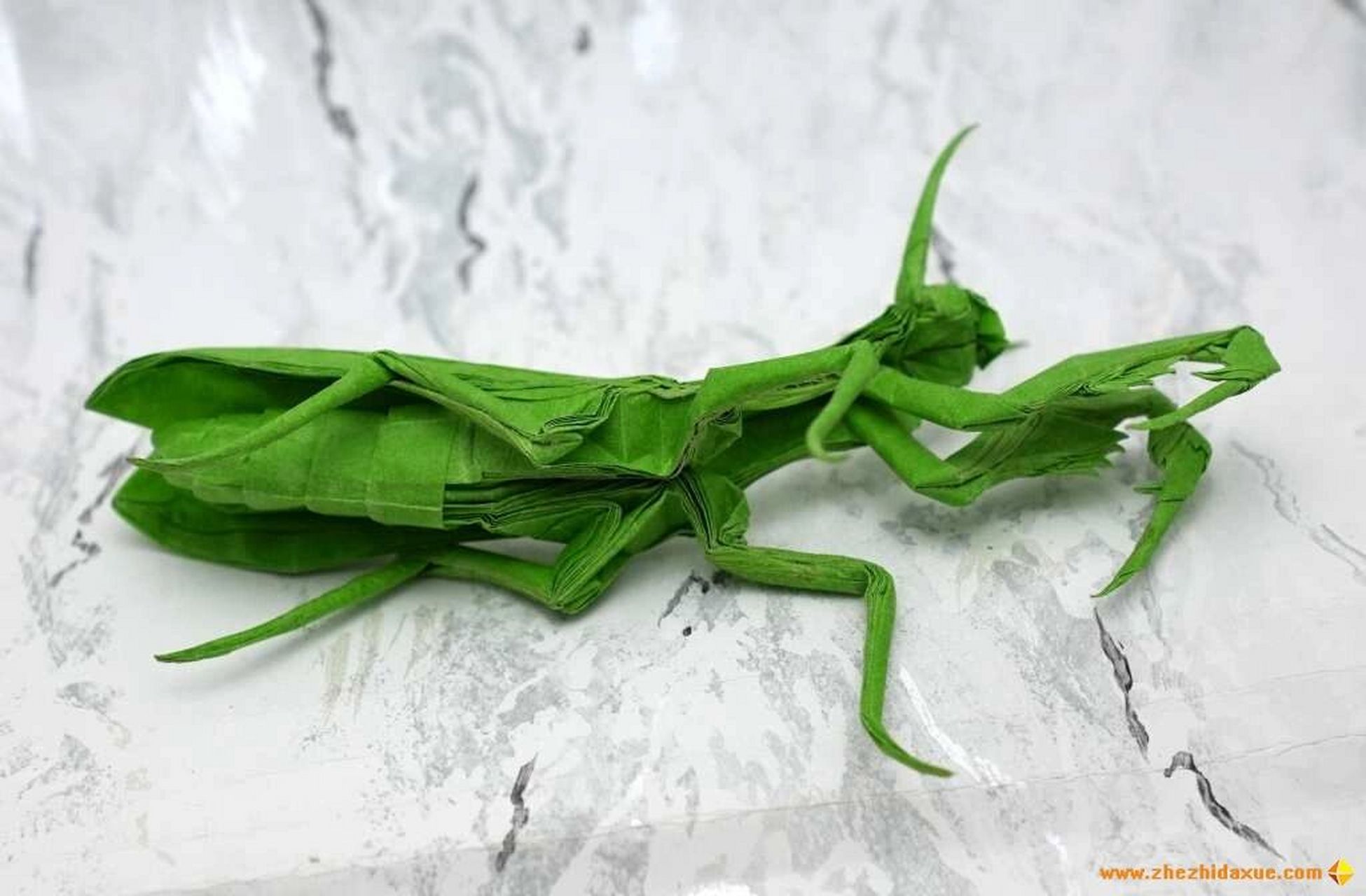 折纸螳螂 一纸成型,不剪不粘!