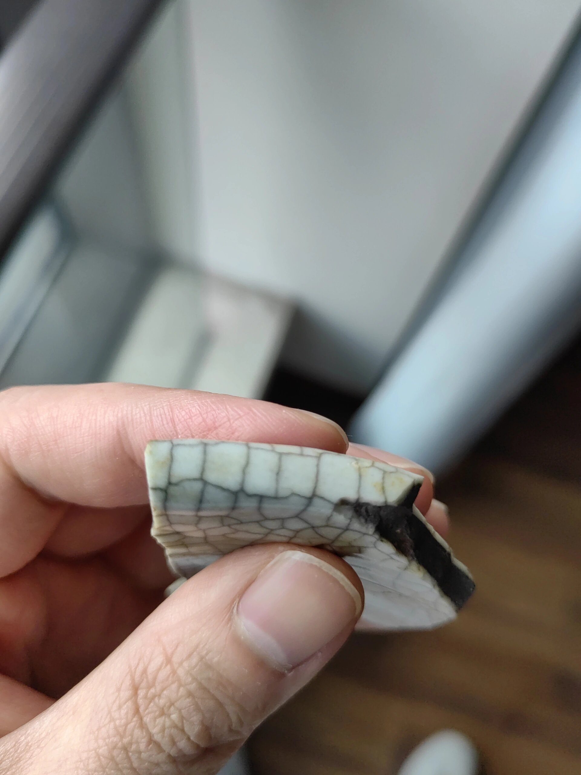 南宋老虎洞哥窑海棠花盆瓷片标本 颜色釉水极好,温润如玉,金丝铁线