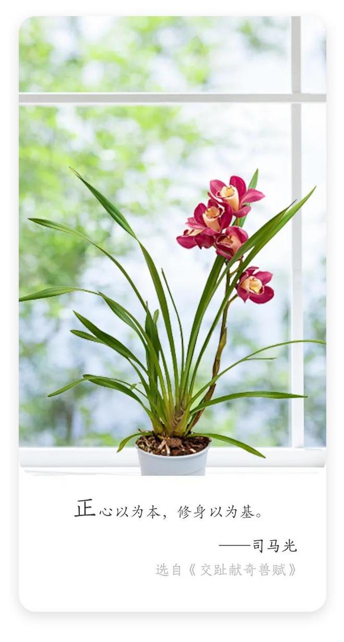 致乘风破浪的自己