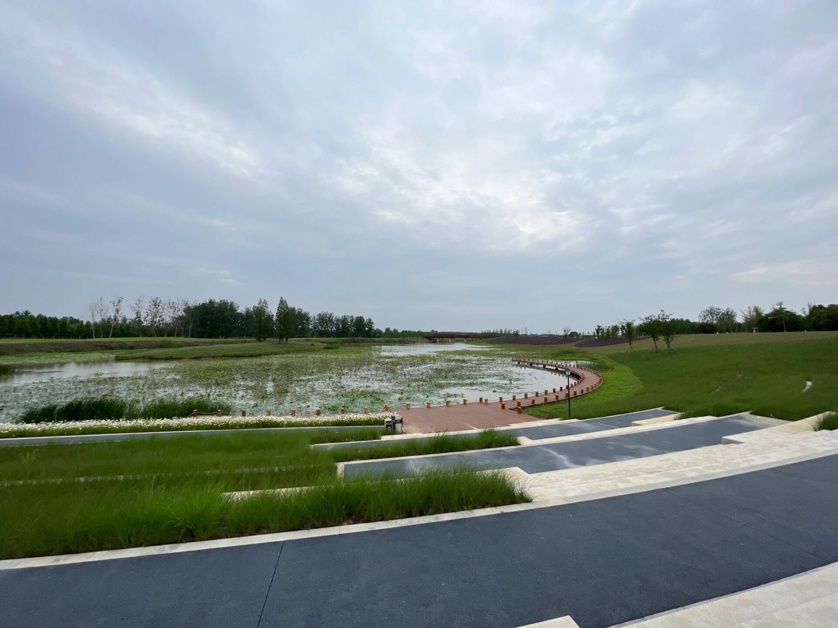 周末打卡记—枝江金湖国家湿地公园 从宜昌城区出发1个小时,一个超级