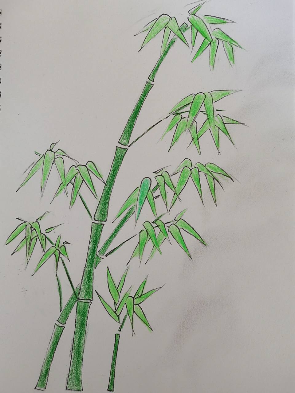 简笔画(114)跟我一起画竹子