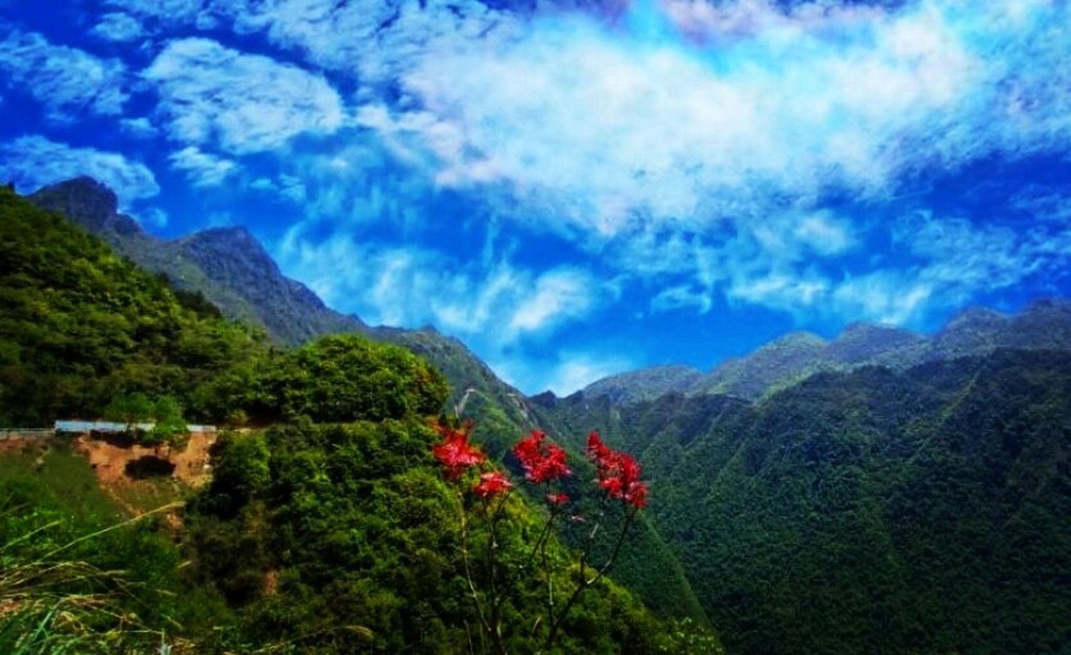1,红池坝风景区:位于巫溪县文峰镇,红池坝是一处生态旅游胜地,风光
