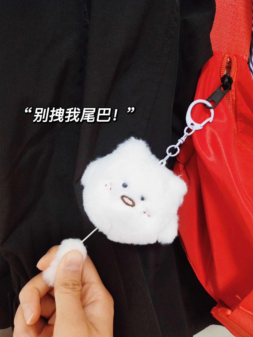 谁家好猫93 的尾巴能让我拽拽啊 平平无奇的小猫尾巴居然可以拉动!