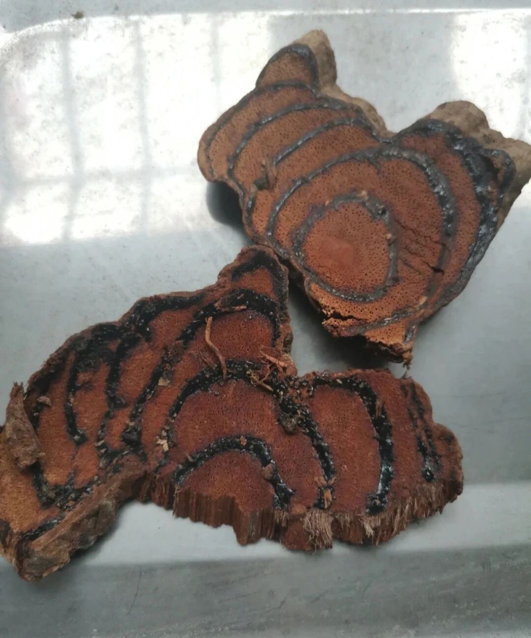 每天认识一味中药—鸡血藤 鸡血藤 【性味归经】:苦,甘,温.