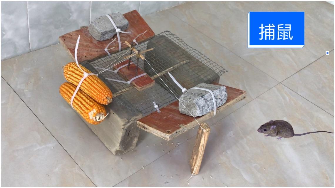 创意手工自己做一个捕鼠器