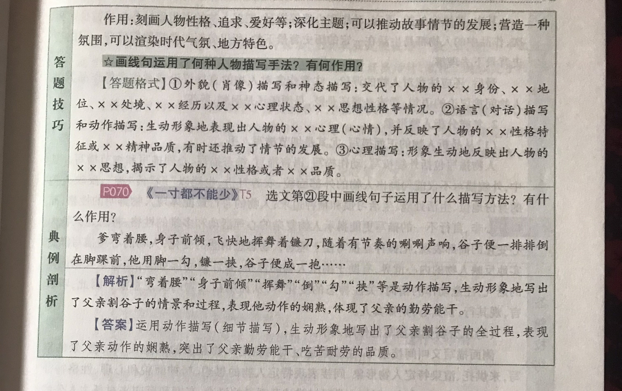 人物描写方法与作用有哪些(人物描写方法有哪些有什么作用)