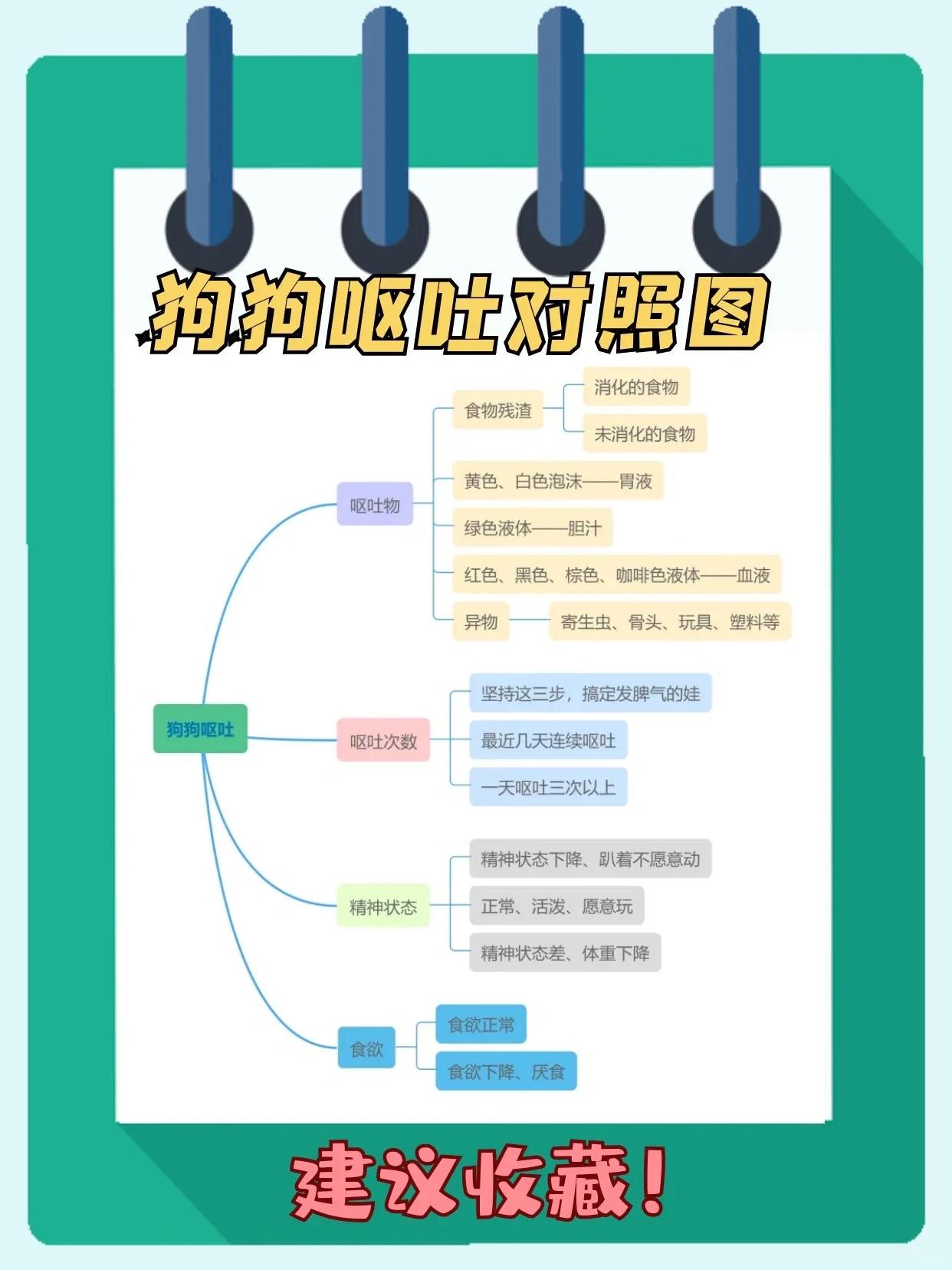 比熊呕吐物图解图片