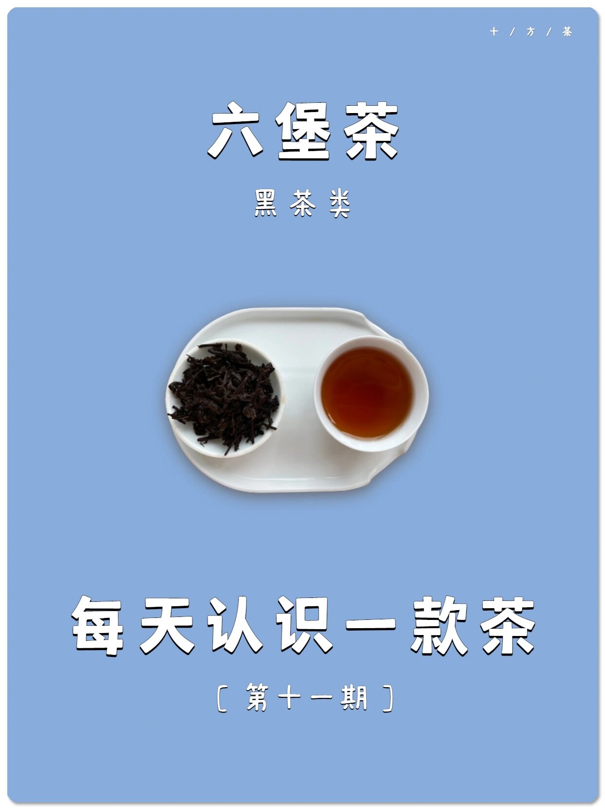 苍梧六堡茶图片