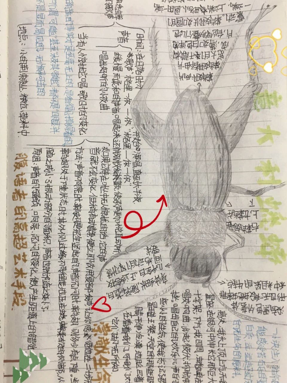 《昆虫记》第十一章意大利蟋蟀 最近有些忙以后周二,周四,周六发