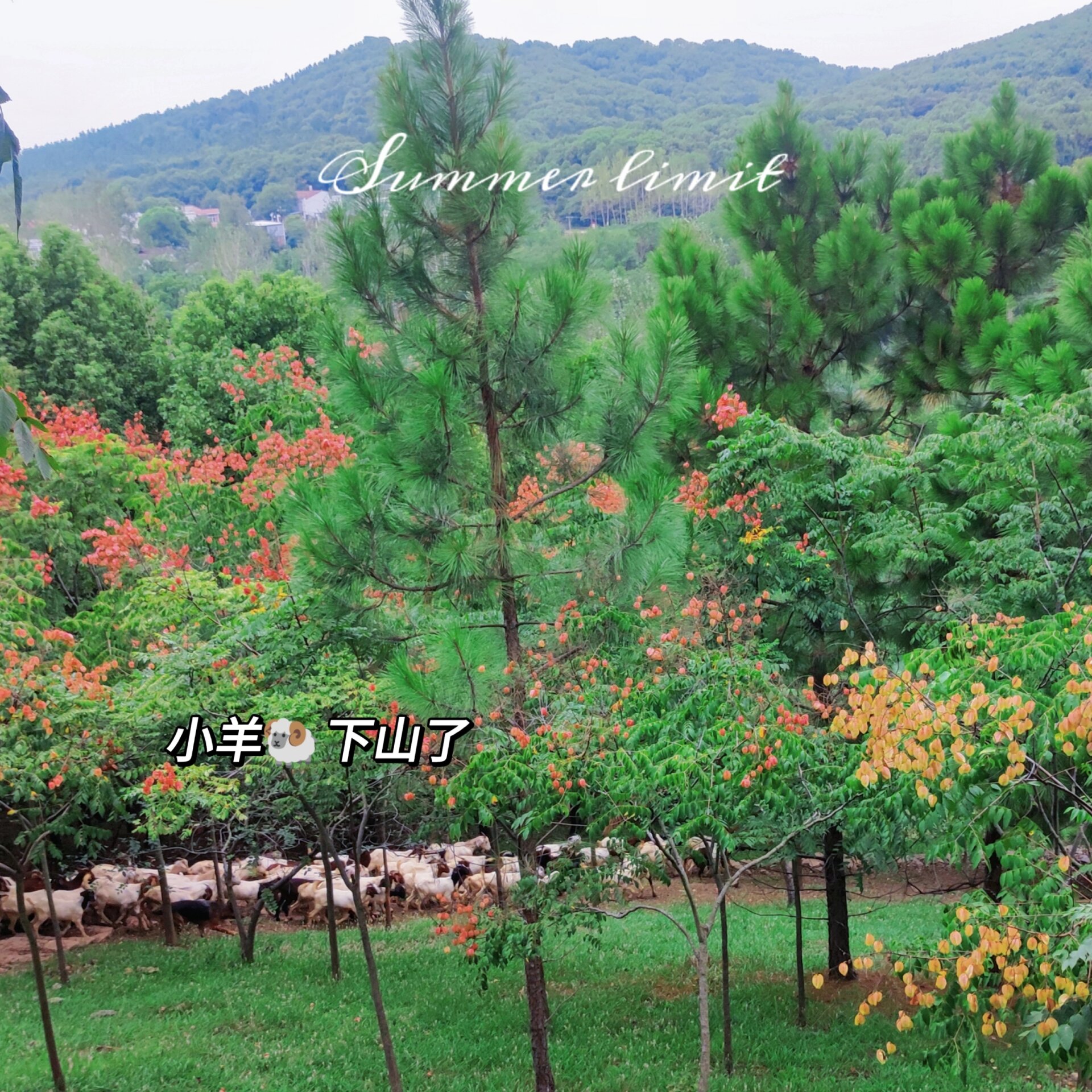 天门海拔最高的山 佛子山火门书院是陆羽爷爷曾经求学的地方,现在成了