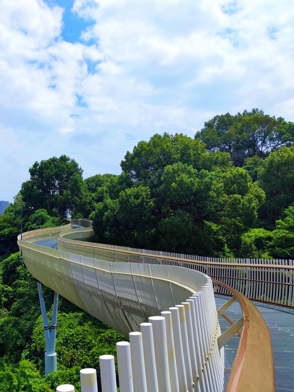 南昌最值得去的森林公园 磨盘山森林公园位于湾里领秀湖市民公园旁边.