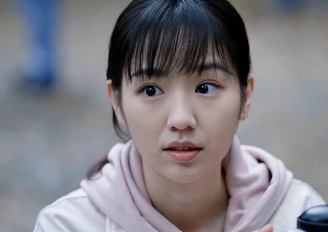 冯大凯,这位华垭集团的灵魂人物,如今被郑昊铐上了手铐