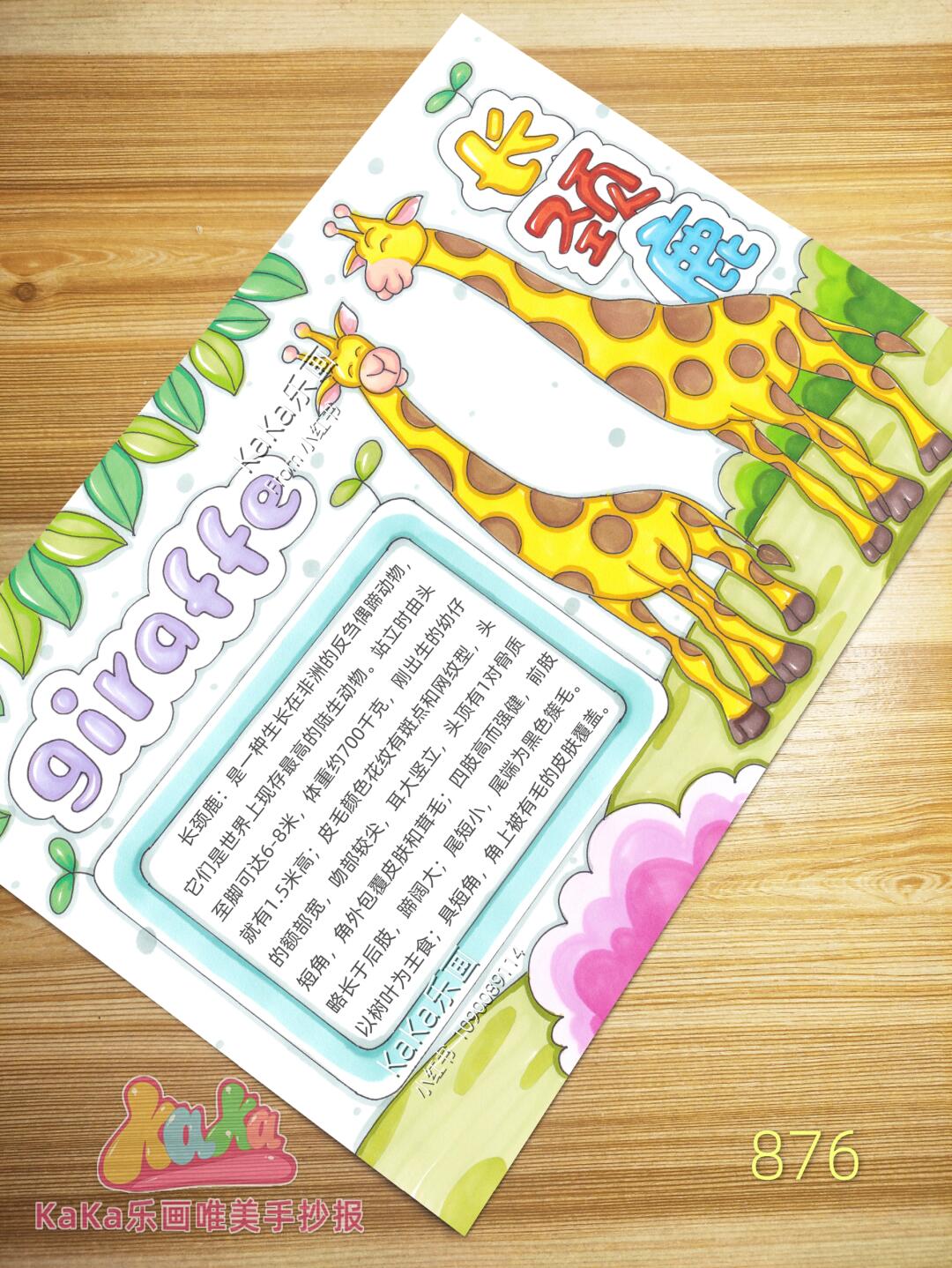 动物名片手抄报模板876