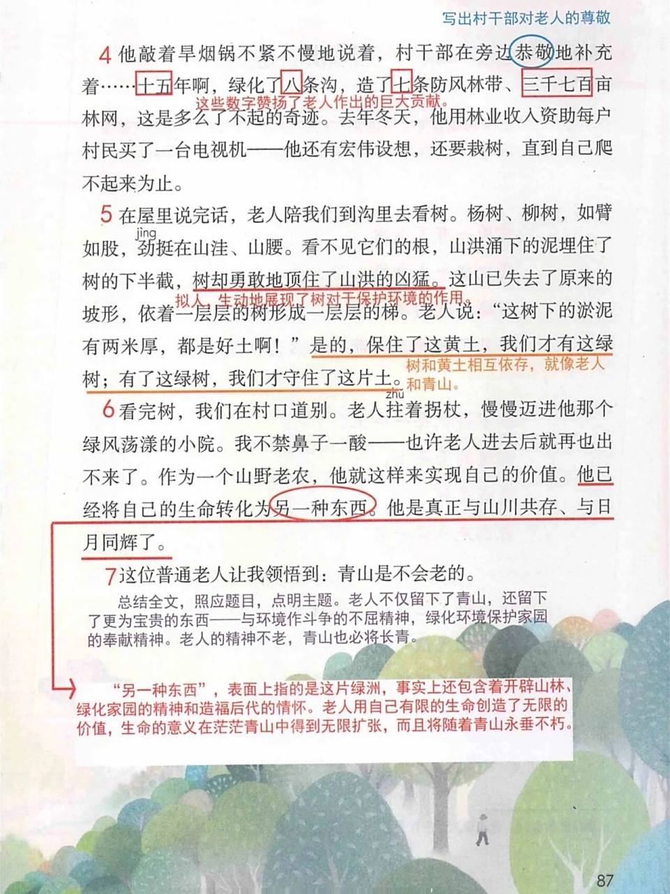 六上第19课《青山不老》课堂笔记 #小学语文怎么学# #小学语文课堂