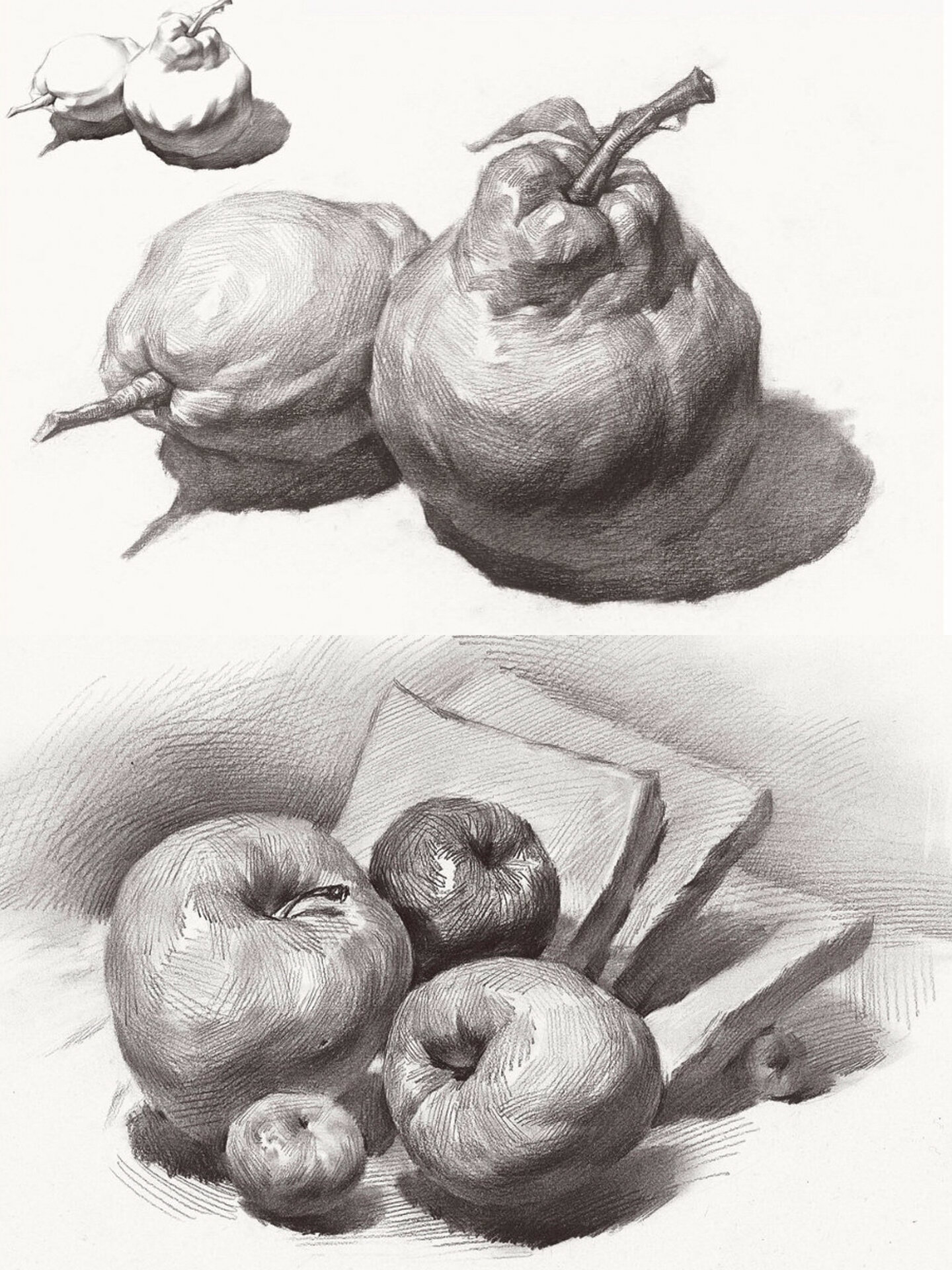 9⃣️张 水果静物素描作品,零基础必备!