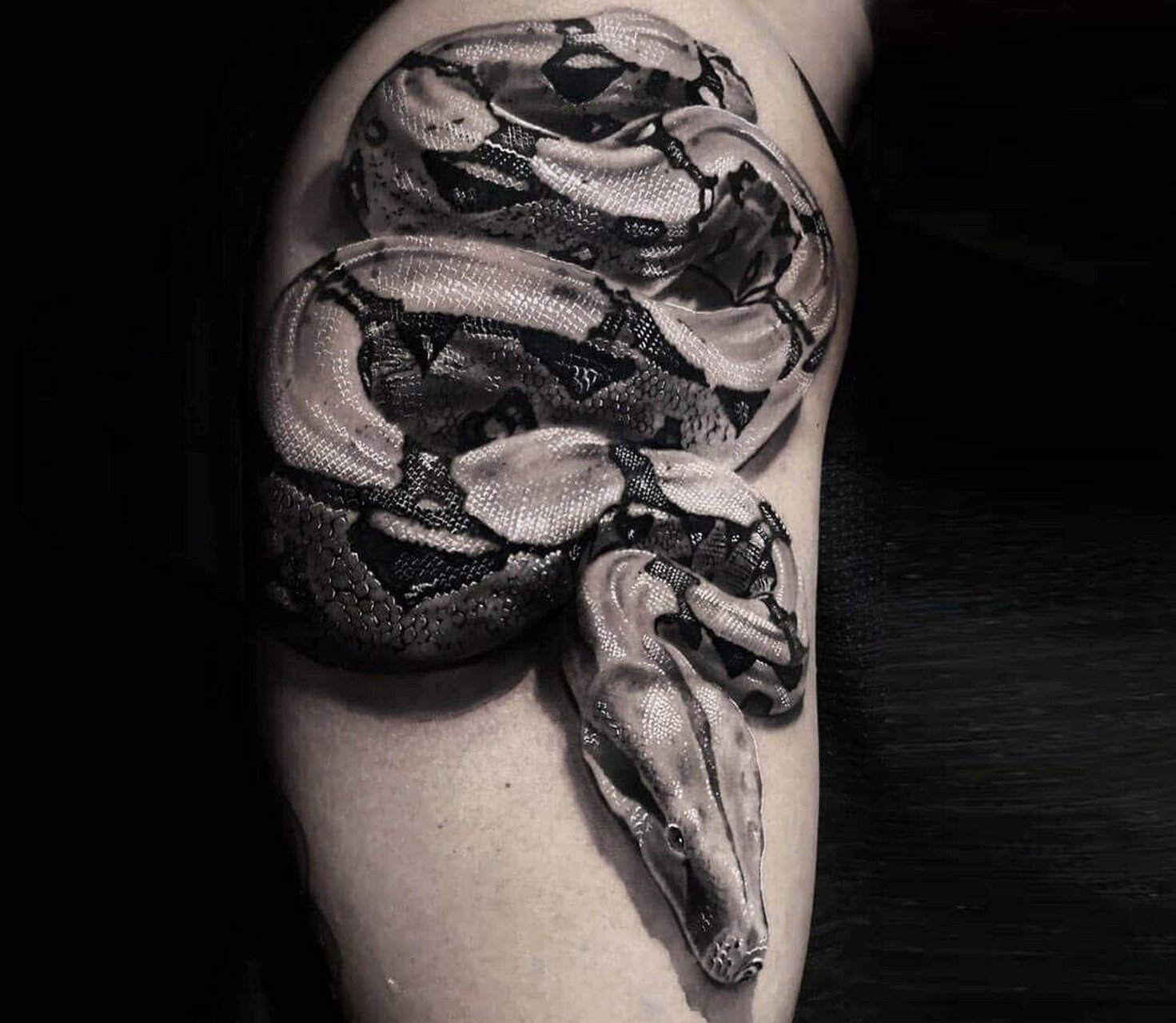 贵阳纹身/蛇·写实纹身素材手稿分享 7815蛇恐惧症慎入7515