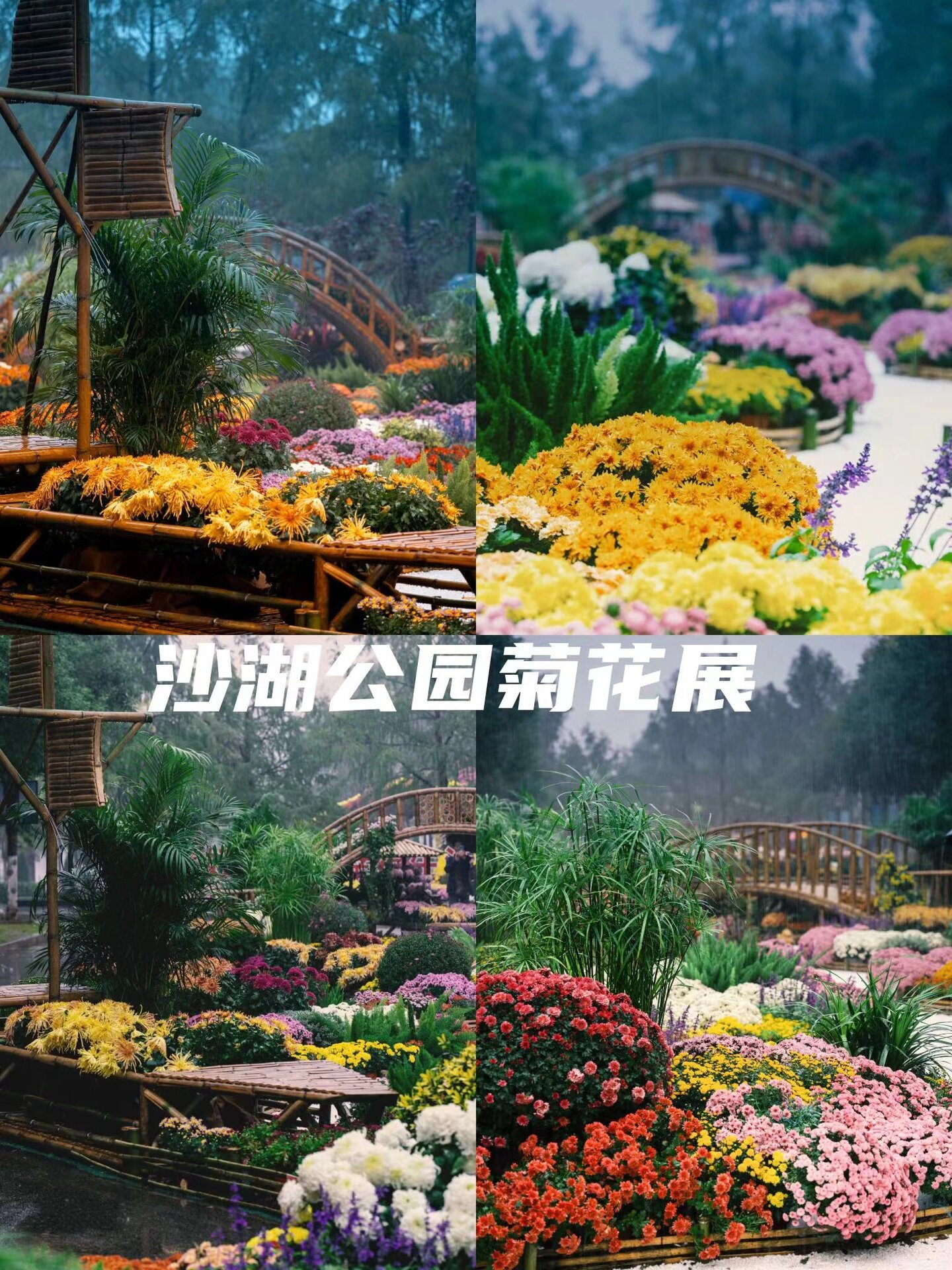 继续看园林 导航沙湖公园c区,正门入口处就可以看到菊花展了,免费参观